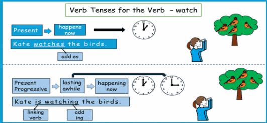 Grammar (Advanced/Sentence Structure)